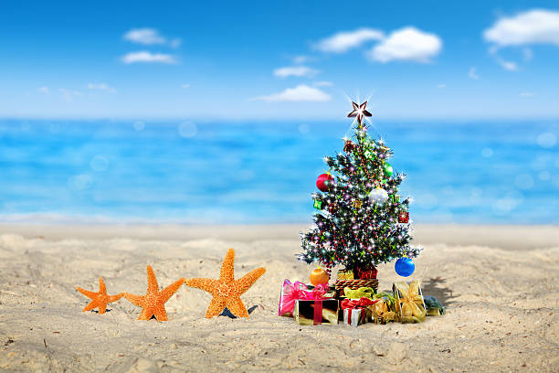istock Christmas celebration at beach 622318866