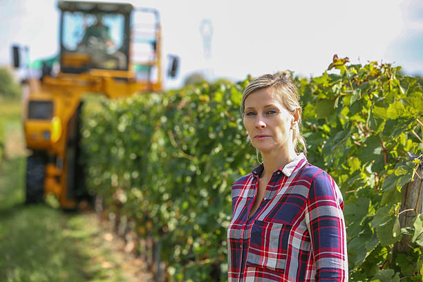 istock female wine grower and harvester 622320082