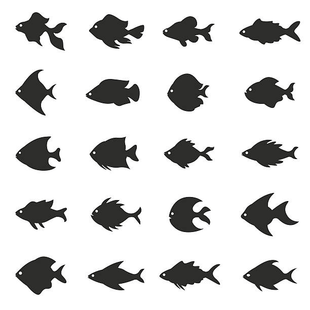 ilustrações de stock, clip art, desenhos animados e ícones de peixes conjunto de ícones - tuna fish silhouette saltwater fish