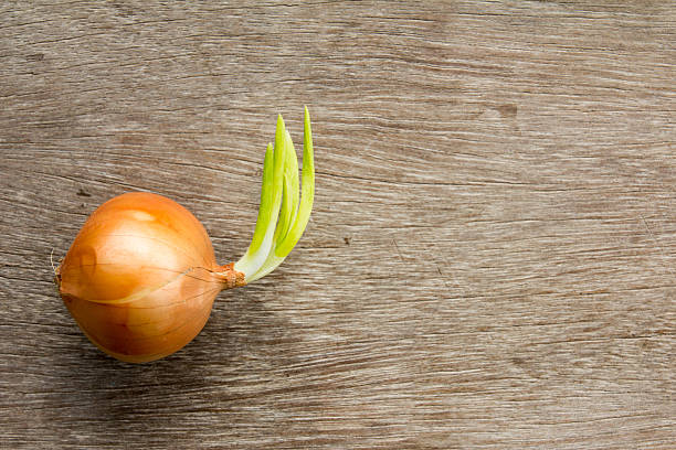 Fresh brown onion in a paper bag on a black table, top view