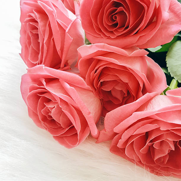 istock Beautiful bouquet of roses on a white surface 622322698