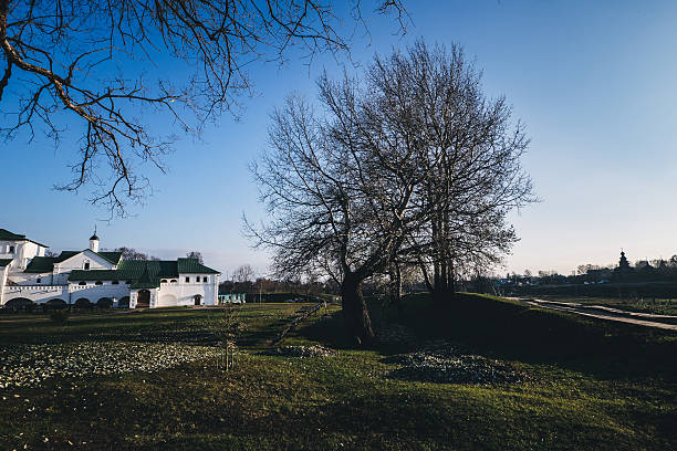 istock White building in the garden with tree 622324388