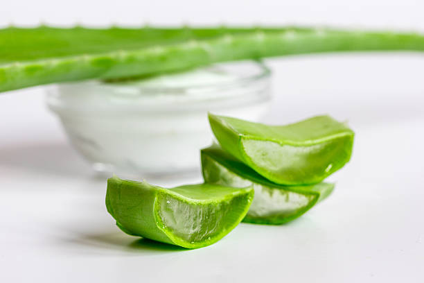 istock aloe vera - leaves and cream isolated on white background 622417646