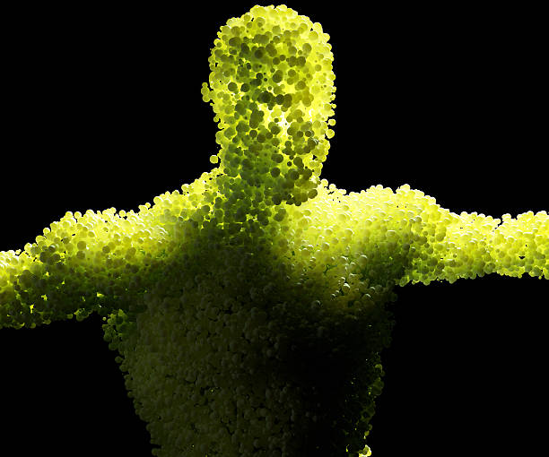 Human cells, bubbles, spheres, composition of human being, connected energy. 3D illustration.