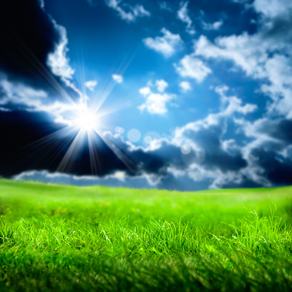 close up green grass landscape over cloudy and sunny blue sky