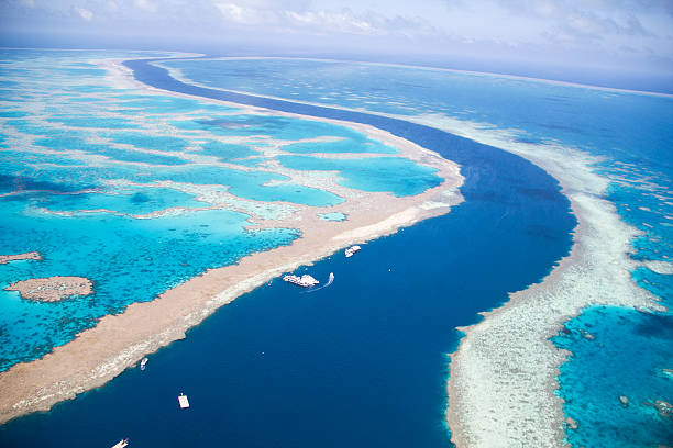 Tidal Channel through the Great Barrier Reef View from airplane over Great Barrier Reef where tidal channel separates Hardy and Hook Reef. great barrier reef photos stock pictures, royalty-free photos & images
