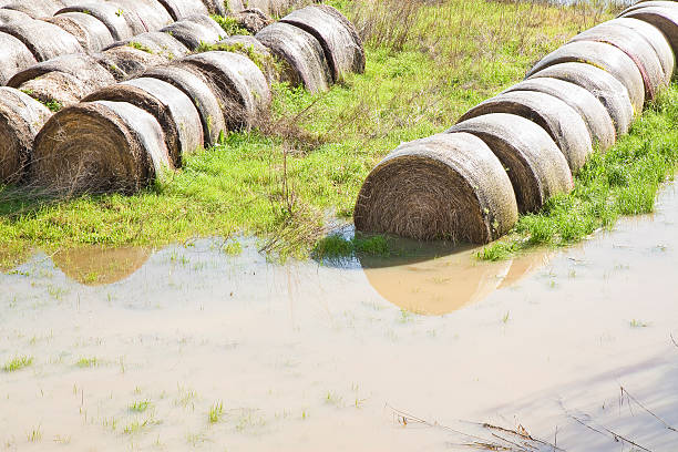 istock Flooded fields with wet hay bales after torrential rain 622420964