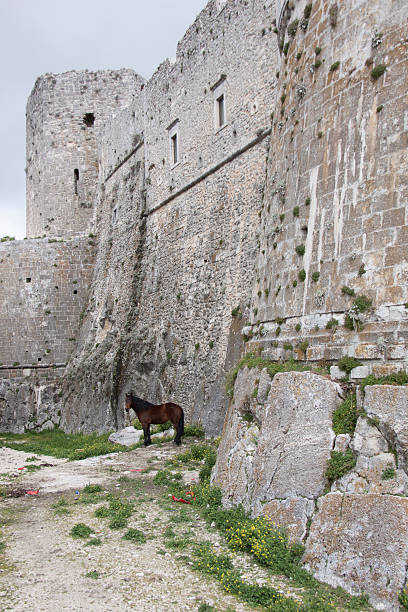 istock Walls and horse 622421750