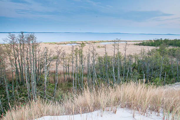 istock beautiful view of the coastal dunes 622425864