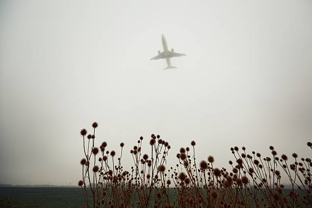 istock Airplane in thick fog 622427992