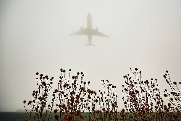 istock Airplane in thick fog 622428740