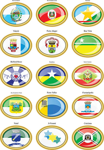 ilustrações, clipart, desenhos animados e ícones de bandeiras dos estados e municípios brasileiros - rondonia state