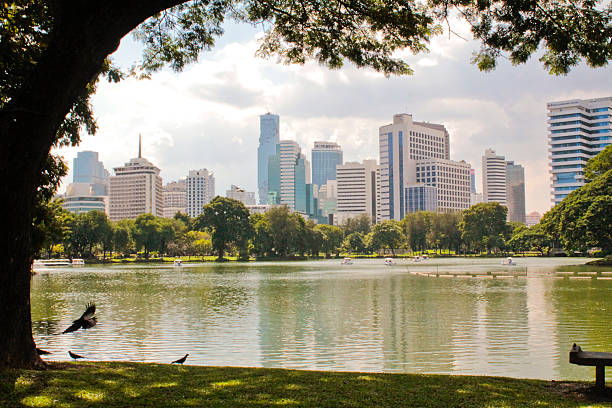 istock Lumpini Park in Bangkok 622432942