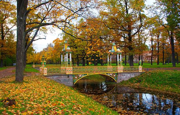istock Chinese bridge in Tsarskoye Selo 622432954