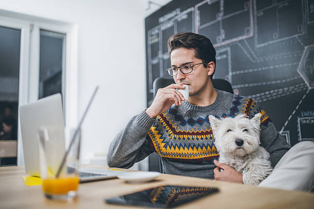 istock Man working in the office and holding his liitle dog. 622433234