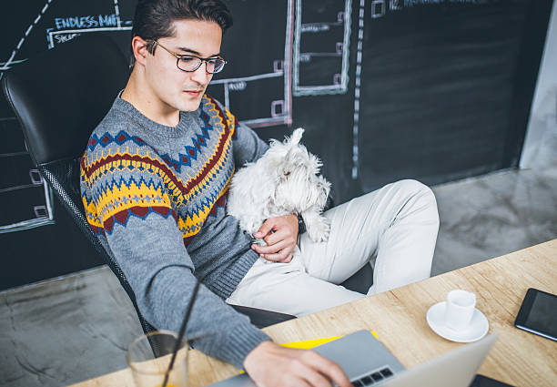 istock Man working in the office and holding his liitle dog. 622433490