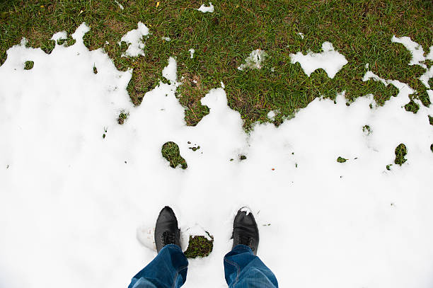 füße in stiefeln im schnee vor grünem gras - snow track human foot steps stock-fotos und bilder