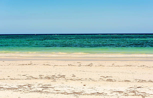 istock Malindi beach, Indian ocean in Kenya, Africa 622434574