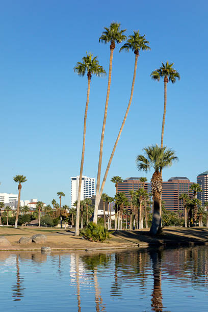 istock Phoenix downtown as seen from Encanto Park Lake, AZ 622434594