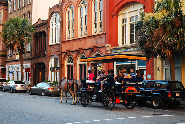 horse drawn touring - southern charm imagens e fotografias de stock