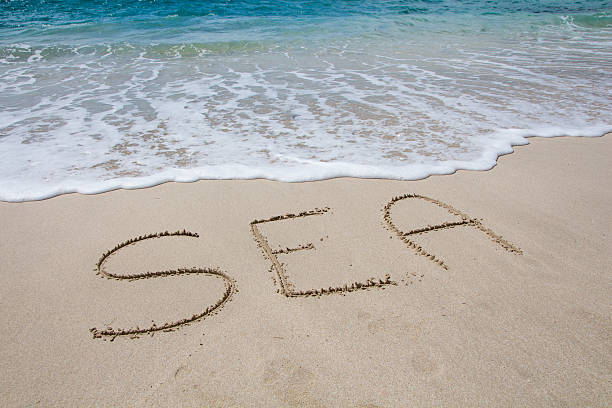 istock Sea written in the sand on the beach 622439968