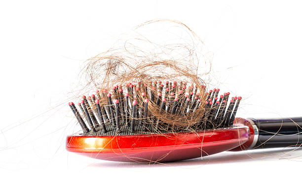 Comb hair with tufts on a white background Comb hair with tufts, bundle of hair, lots of hair on the hairbrush close up on a white background shaved black women stock pictures, royalty-free photos & images