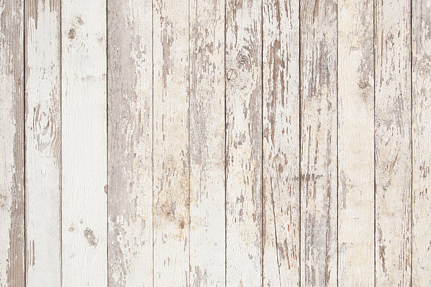white old wooden fence. wood palisade background. planks texture wooden background, weathered surface palisade boundary stock pictures, royalty-free photos & images