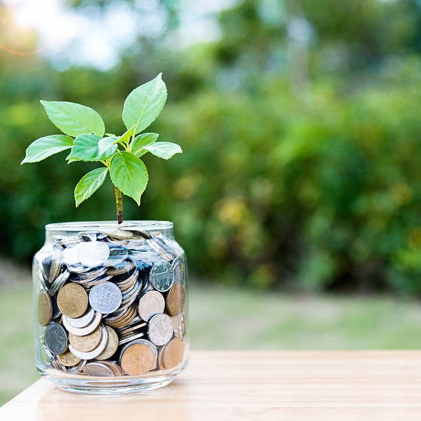istock Plant growing from coin jar 622445698