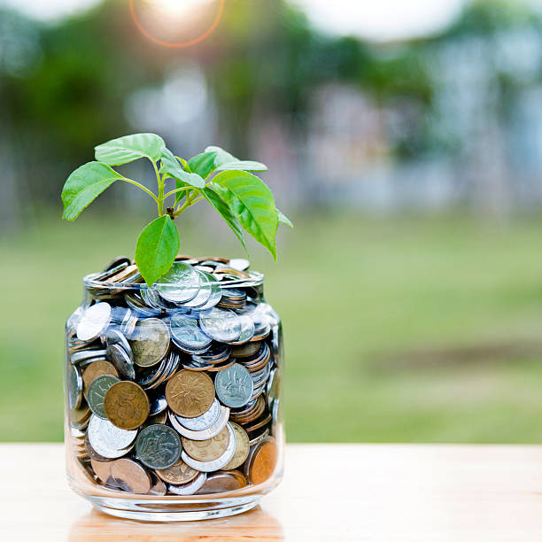 istock Plant growing from coin jar 622445790
