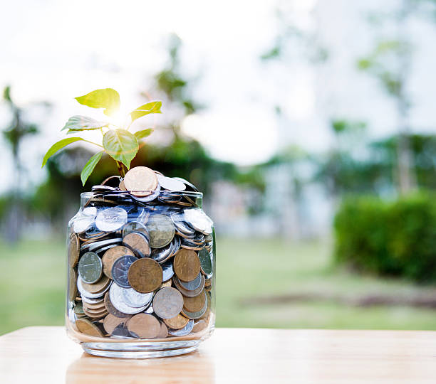 istock Plant growing from coin jar 622445864