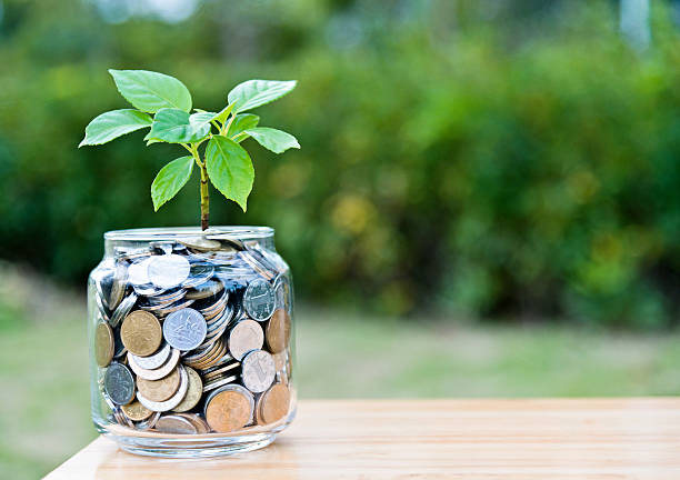 cultivo de plantas a partir de un frasco de monedas - jar coin currency glass fotografías e imágenes de stock