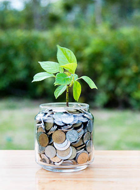 istock Plant growing from coin jar 622446198