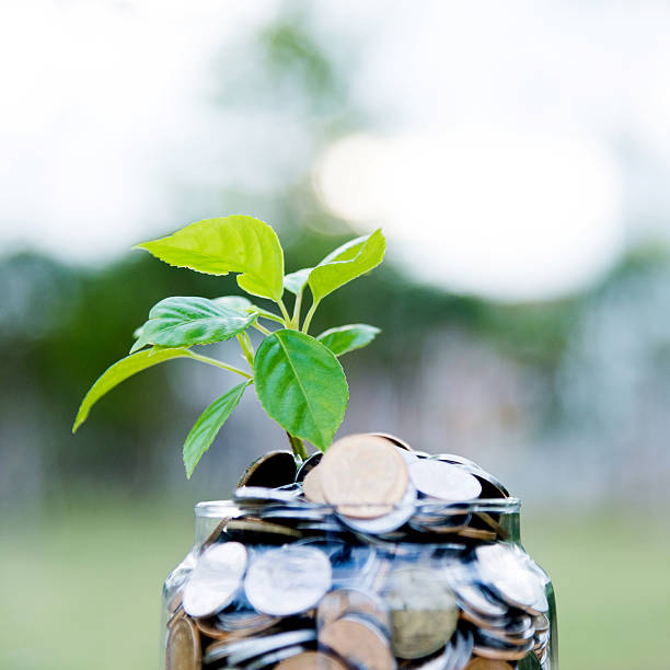 istock Plant growing from coin jar 622446538