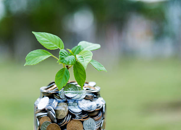 istock Plant growing from coin jar 622446712