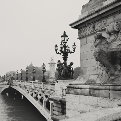 Pont Alexandre III and Seine River on a rainy day