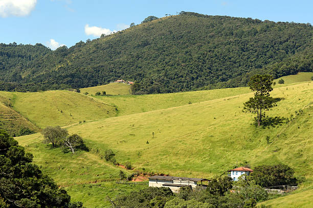 istock Green hills with farm house 622451780