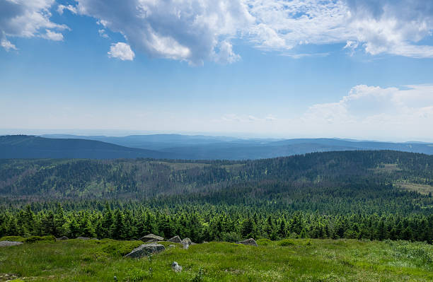 istock Mountains and forest of  Harz in the sunlight , Germany 622452512