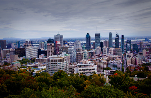 Landscape of the Montreal City from Mont Royale 