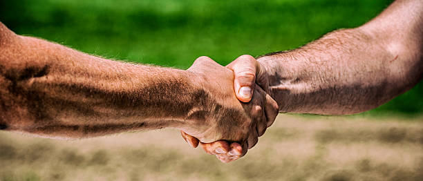 istock Handshake of two farmers 622454692