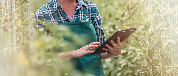 istock Female farmer with digital tablet 622454968