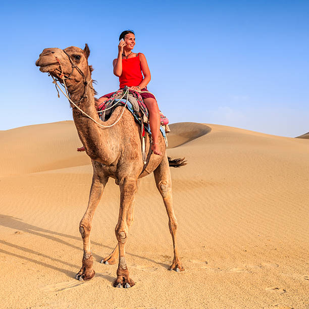 istock Young female tourist using mobile on a camel, Rajasthan, India 622458154