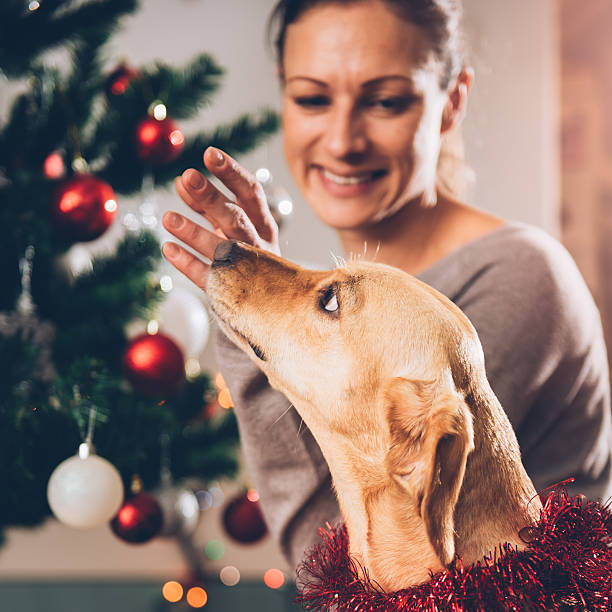 istock Woman cuddling dog and decorating christmas tree 622459264