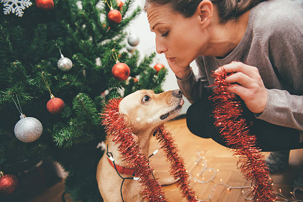 istock Woman decorating a christmas tree and cuddling a dog 622459552