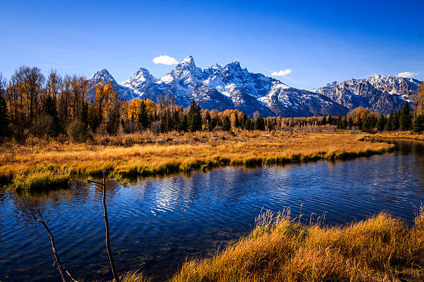 istock Grand Teton National Park 622505552