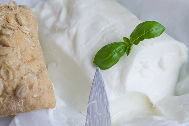 istock Italian cheese - stracchino with basel leaves. Closeup 622511560
