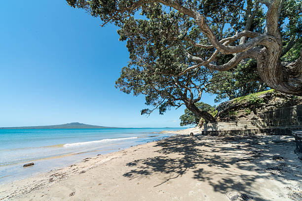 Rangitoto  from Narrow neck A landscape image from Narrow Neck beach Auckland New Zealand rangitoto island stock pictures, royalty-free photos & images