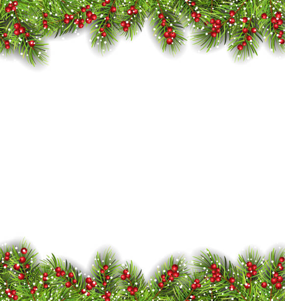 Holiday Frame with Fir Branches and Holly Berries Illustration Holiday Frame with Fir Branches and Holly Berries, Copy Space for Your Text - Vector fir tree pine backgrounds branch stock illustrations