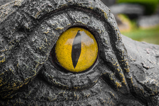 istock Yellow eyes of crocodiles. 622512830