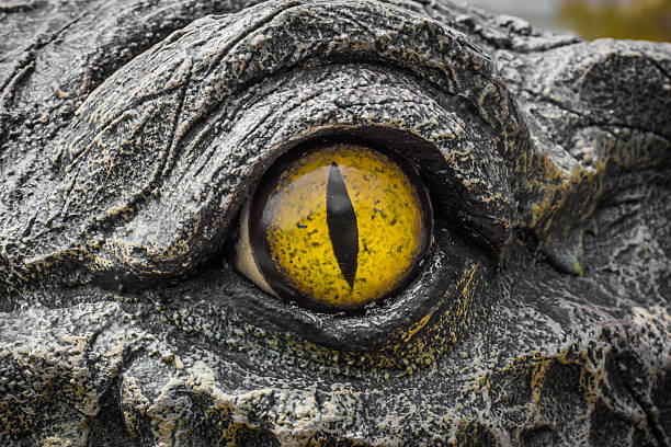 istock Yellow eyes of crocodiles. 622512934