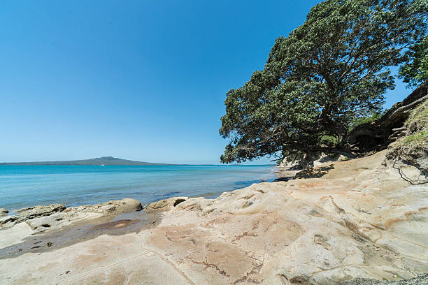 A landscape image from Narrow Neck beach Auckland New Zealand